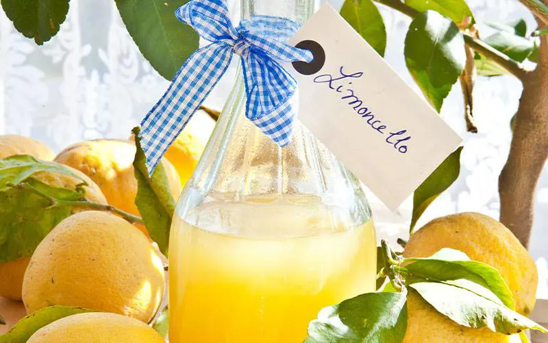 Limoncello 800X500
