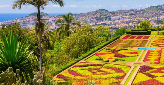 madeira botanical gardens