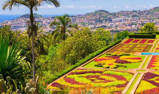 madeira botanical gardens