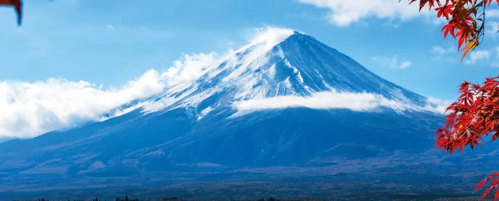 japan banner 25.jpg