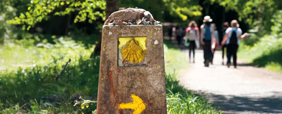 walking the camino banner.jpg