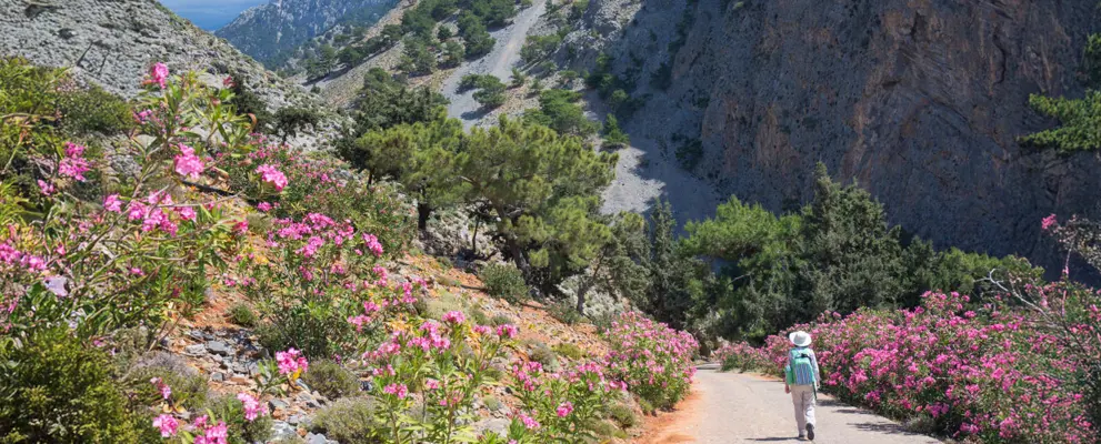 Walking in Crete .jpg
